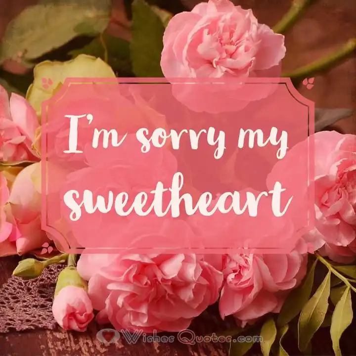 sorry photos